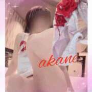 ヒメ日記 2025/11/17 13:10 投稿 あかね 奥様クラブ