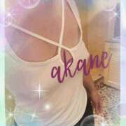 ヒメ日記 2025/11/21 09:05 投稿 あかね 奥様クラブ