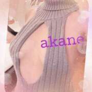 ヒメ日記 2025/11/23 22:40 投稿 あかね 奥様クラブ