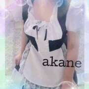 ヒメ日記 2025/11/24 09:05 投稿 あかね 奥様クラブ