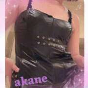 ヒメ日記 2025/11/29 09:05 投稿 あかね 奥様クラブ