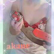 ヒメ日記 2025/11/30 09:05 投稿 あかね 奥様クラブ