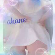 ヒメ日記 2025/12/03 12:45 投稿 あかね 奥様クラブ