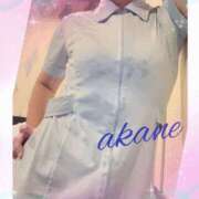 ヒメ日記 2025/12/08 09:05 投稿 あかね 奥様クラブ