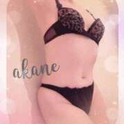 ヒメ日記 2025/12/10 09:05 投稿 あかね 奥様クラブ