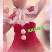 ヒメ日記 2025/12/12 13:15 投稿 あかね 奥様クラブ