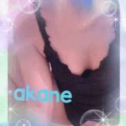 ヒメ日記 2025/12/15 09:05 投稿 あかね 奥様クラブ