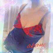 ヒメ日記 2025/12/15 12:20 投稿 あかね 奥様クラブ