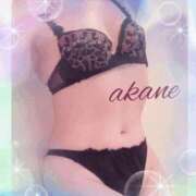 ヒメ日記 2025/12/18 13:00 投稿 あかね 奥様クラブ