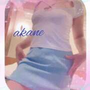 ヒメ日記 2025/12/19 09:05 投稿 あかね 奥様クラブ