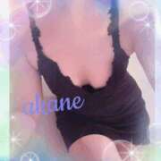 ヒメ日記 2025/12/19 11:30 投稿 あかね 奥様クラブ