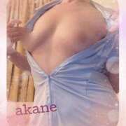 ヒメ日記 2025/12/21 09:05 投稿 あかね 奥様クラブ