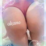 ヒメ日記 2025/12/22 13:15 投稿 あかね 奥様クラブ