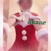 ヒメ日記 2025/12/25 09:05 投稿 あかね 奥様クラブ