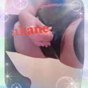 ヒメ日記 2025/12/25 15:40 投稿 あかね 奥様クラブ