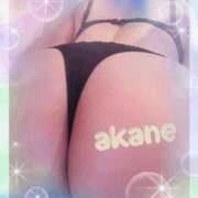 ヒメ日記 2025/12/27 13:05 投稿 あかね 奥様クラブ