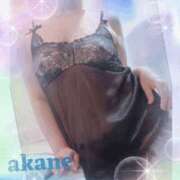 ヒメ日記 2025/12/29 09:05 投稿 あかね 奥様クラブ