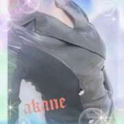 ヒメ日記 2026/01/07 09:05 投稿 あかね 奥様クラブ