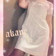 ヒメ日記 2026/01/12 00:15 投稿 あかね 奥様クラブ