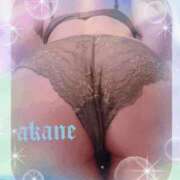 ヒメ日記 2026/01/15 16:05 投稿 あかね 奥様クラブ