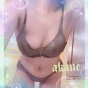 ヒメ日記 2026/01/19 00:00 投稿 あかね 奥様クラブ