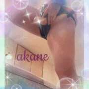 ヒメ日記 2026/01/19 09:05 投稿 あかね 奥様クラブ