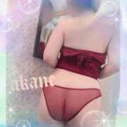 ヒメ日記 2026/01/24 09:05 投稿 あかね 奥様クラブ