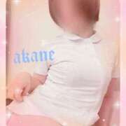 ヒメ日記 2026/01/24 10:35 投稿 あかね 奥様クラブ