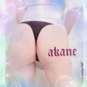 ヒメ日記 2026/01/27 09:05 投稿 あかね 奥様クラブ