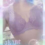 ヒメ日記 2026/01/28 00:00 投稿 あかね 奥様クラブ