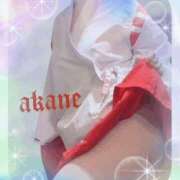 ヒメ日記 2026/01/30 09:05 投稿 あかね 奥様クラブ