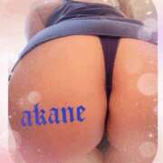 ヒメ日記 2026/02/02 12:15 投稿 あかね 奥様クラブ