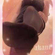 ヒメ日記 2026/02/03 23:50 投稿 あかね 奥様クラブ