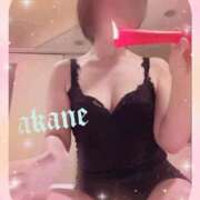 ヒメ日記 2026/02/06 09:05 投稿 あかね 奥様クラブ