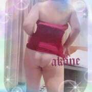 ヒメ日記 2026/02/08 09:05 投稿 あかね 奥様クラブ