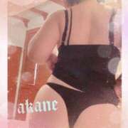 ヒメ日記 2026/02/10 15:55 投稿 あかね 奥様クラブ