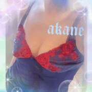 ヒメ日記 2026/02/11 09:05 投稿 あかね 奥様クラブ