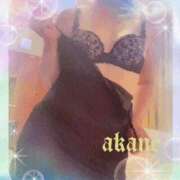 ヒメ日記 2026/02/11 15:45 投稿 あかね 奥様クラブ