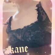 ヒメ日記 2026/02/11 20:55 投稿 あかね 奥様クラブ