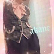 ヒメ日記 2026/02/14 21:40 投稿 あかね 奥様クラブ