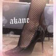 ヒメ日記 2026/02/18 09:05 投稿 あかね 奥様クラブ