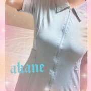 ヒメ日記 2026/02/20 09:05 投稿 あかね 奥様クラブ