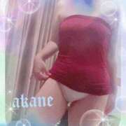 ヒメ日記 2026/02/22 14:50 投稿 あかね 奥様クラブ