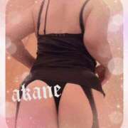 ヒメ日記 2026/02/23 18:30 投稿 あかね 奥様クラブ