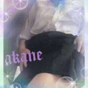 ヒメ日記 2026/02/23 23:40 投稿 あかね 奥様クラブ