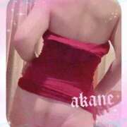 ヒメ日記 2026/02/24 09:05 投稿 あかね 奥様クラブ