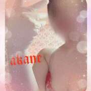 ヒメ日記 2026/02/28 09:05 投稿 あかね 奥様クラブ