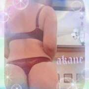 ヒメ日記 2026/03/01 09:05 投稿 あかね 奥様クラブ