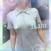 ヒメ日記 2026/03/07 22:30 投稿 あかね 奥様クラブ