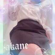 ヒメ日記 2026/03/11 00:00 投稿 あかね 奥様クラブ